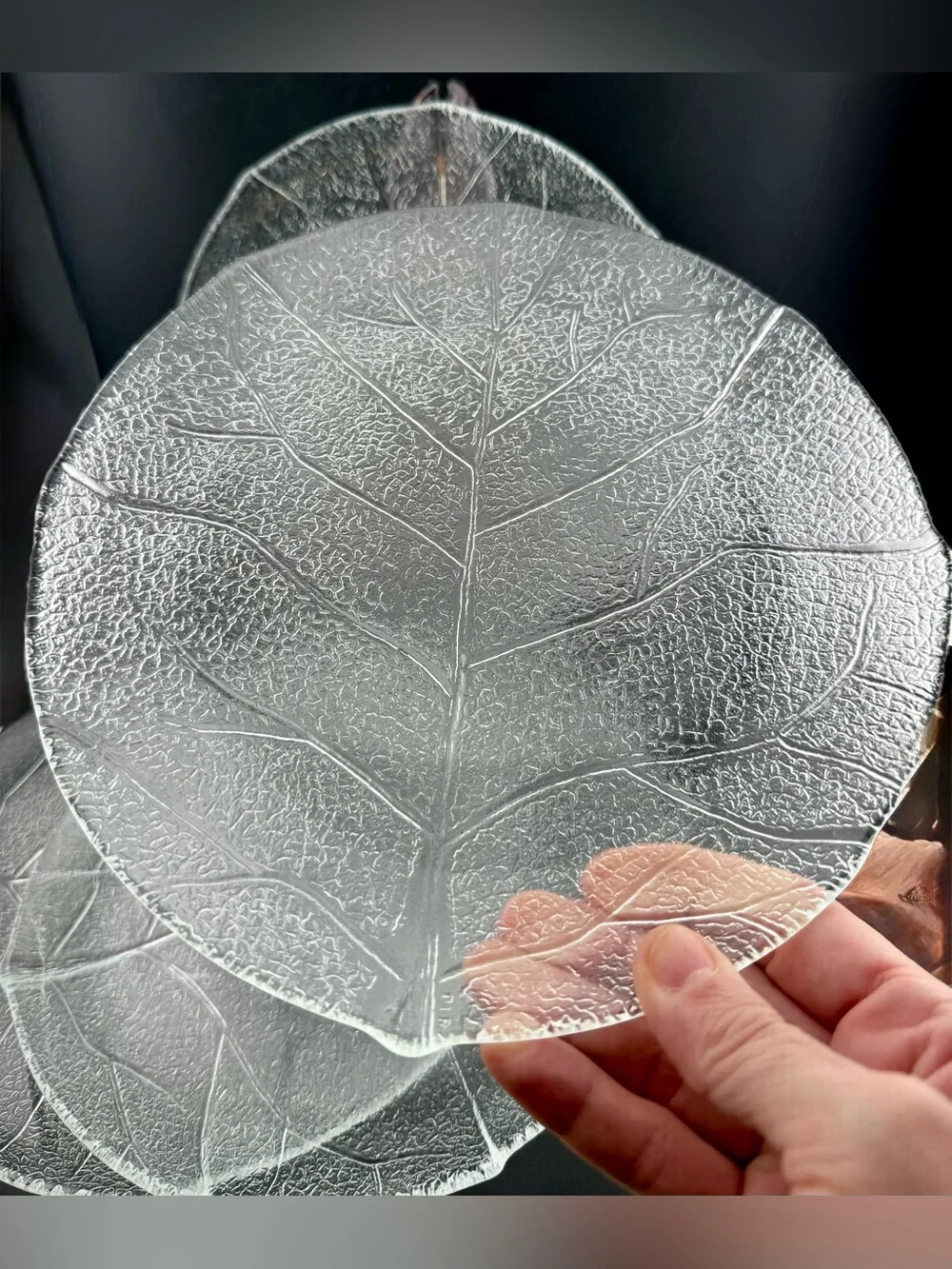 4 Arcoroc Aspen Leaf 9.25” plates